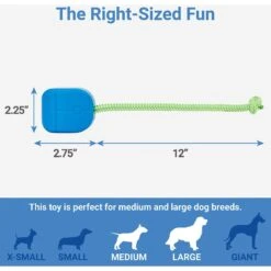 Frisco Retro PC Mouse Rubber Tug & Fetch Dog Toy -Frisco 230385 PT1. AC SS1800 V1599943590