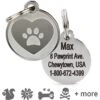 Frisco Personalized Dog & Cat ID Tag, Medium -Frisco 231091 MAIN. AC SS1800 V1586465153