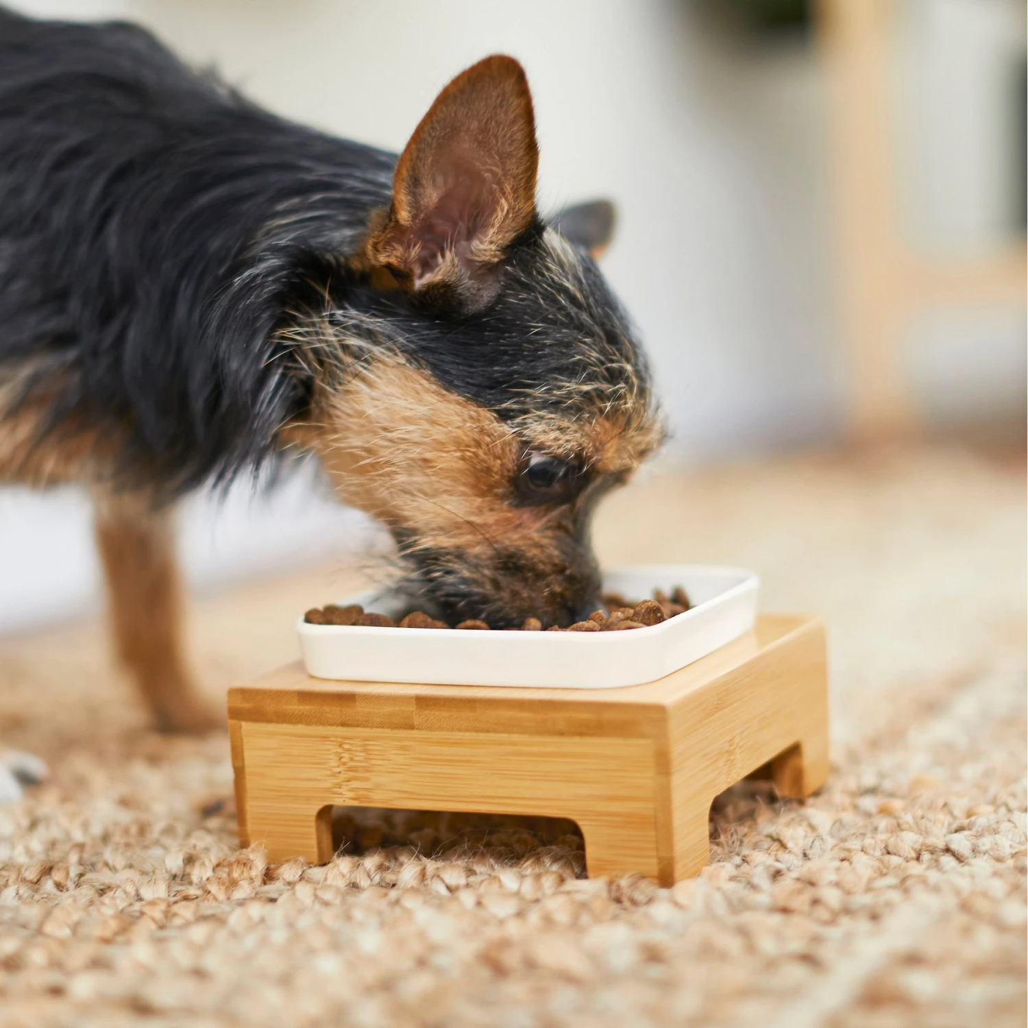 Frisco Square Melamine Dog & Cat Bowl With Bamboo Stand 9 Frisco Square Melamine Dog & Cat Bowl With Bamboo Stand - Image 7