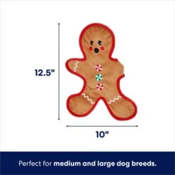 Frisco Holiday Gingerbread Man Flat Plush Squeaky Dog Toy -Frisco 233241 PT1. AC SS1800 V1695043884
