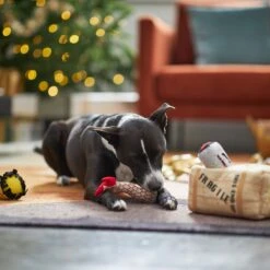 Frisco Holiday Fragile Box Hide & Seek Puzzle Plush Squeaky Dog Toy -Frisco 233274 PT4. AC SS1800 V1665759767