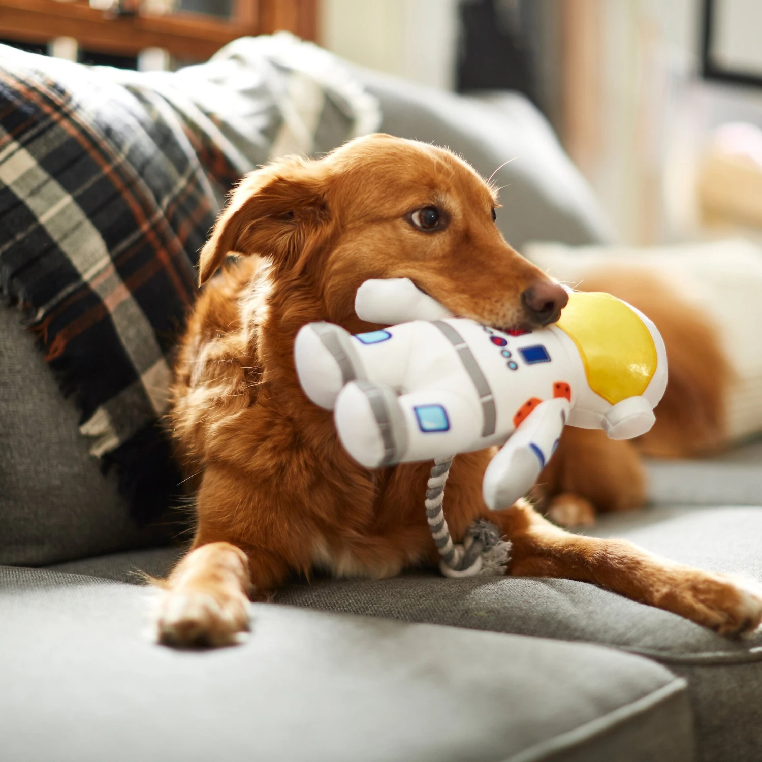 Frisco Ballistic Nylon Plush With Rope Squeaky Astronaut Dog Toy 5 Frisco Ballistic Nylon Plush With Rope Squeaky Astronaut Dog Toy - Image 3