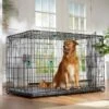 Frisco Heavy Duty Enhanced Lock Double Door Fold & Carry Wire Dog Crate & Mat Kit 1 Frisco Heavy Duty Enhanced Lock Double Door Fold & Carry Wire Dog Crate & Mat Kit -Frisco 233736 MAIN. AC SS1800 V1667229247