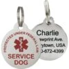 Frisco Service Personalized Dog ID Tag, Round Shape 2 Frisco Service Personalized Dog ID Tag, Round Shape -Frisco 233739 main. AC SS1800 V1588081905