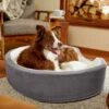 Frisco Bolster Cat & Dog Bed 1 Frisco Bolster Cat & Dog Bed -Frisco 235034 MAIN. AC SS1800 V1602690455