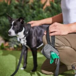 Frisco Dog Poop Bags With Fabric Dispenser 15 Frisco Dog Poop Bags With Fabric Dispenser -Frisco 236998 PT6. AC SS1800 V1610772967