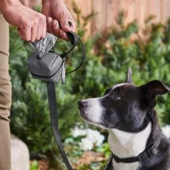 Frisco Large Size Dog Poop Bags With Fabric Dispenser 15 Frisco Large Size Dog Poop Bags With Fabric Dispenser -Frisco 237013 PT6. AC SS1800 V1610762789