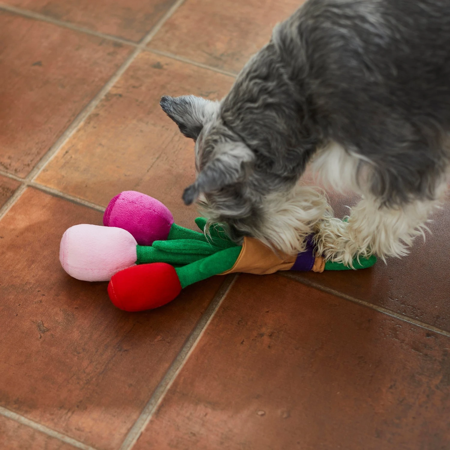 Frisco Valentine Rose Bouquet Plush Squeaky Dog Toy 5 Frisco Valentine Rose Bouquet Plush Squeaky Dog Toy - Image 3