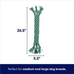 Frisco Flat Teal & Gray Braided Rope Squeaky Fetch Dog Toy -Frisco 242127 PT1. AC SS1800 V1695748353