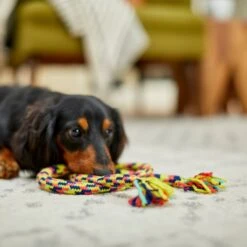 Frisco Pretzel Rope Dog Toy -Frisco 242141 PT2. AC SS1800 V1605208795