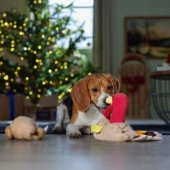 Frisco Holiday Turkey 2-in-1 Plush Squeaky Dog Toy -Frisco 244925 PT3. AC SS1800 V1661874063