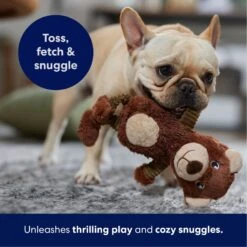 Frisco Bear Plush Squeaky Dog Toy 12 Frisco Bear Plush Squeaky Dog Toy -Frisco 245924 PT4. AC SS1800 V1695760929