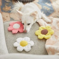 Frisco Easter Spring Flowers Plush Dog Toy 10 Frisco Easter Spring Flowers Plush Dog Toy -Frisco 248043 PT5. AC SS1800 V1608769957