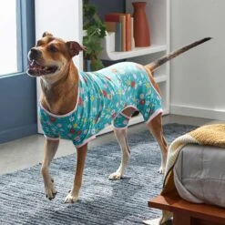Frisco Teal Floral Dog & Cat Jersey PJs 14 Frisco Teal Floral Dog & Cat Jersey PJs -Frisco 249132 PT5. AC SS1800 V1637725019