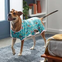 Frisco Teal Floral Dog & Cat Jersey PJs 15 Frisco Teal Floral Dog & Cat Jersey PJs -Frisco 249132 PT7. AC SS1800 V1614376401