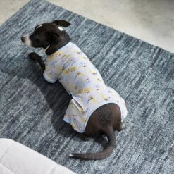 Frisco Sleepy Sloths Dog & Cat Jersey PJs 11 Frisco Sleepy Sloths Dog & Cat Jersey PJs -Frisco 249144 PT7. AC SS1800 V1614369158