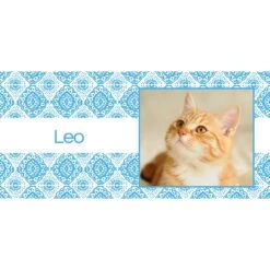 Frisco Double Walled Boho Damask Personalized Tumbler, 30-oz Cup 9 Frisco Double Walled Boho Damask Personalized Tumbler, 30-oz Cup -Frisco 250749 PT2. AC SS1800 V1606680445