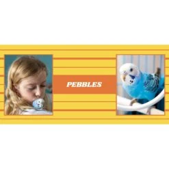 Frisco Double Walled Preppy Stripes Personalized Tumbler, 30-oz Cup 9 Frisco Double Walled Preppy Stripes Personalized Tumbler, 30-oz Cup -Frisco 250751 PT2. AC SS1800 V1606678620