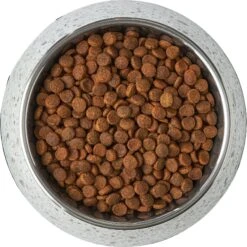 Frisco Quartz Design Stainless Steel Dog & Cat Bowl 16 Frisco Quartz Design Stainless Steel Dog & Cat Bowl -Frisco 253044 PT5. AC SS1800 V1616526766