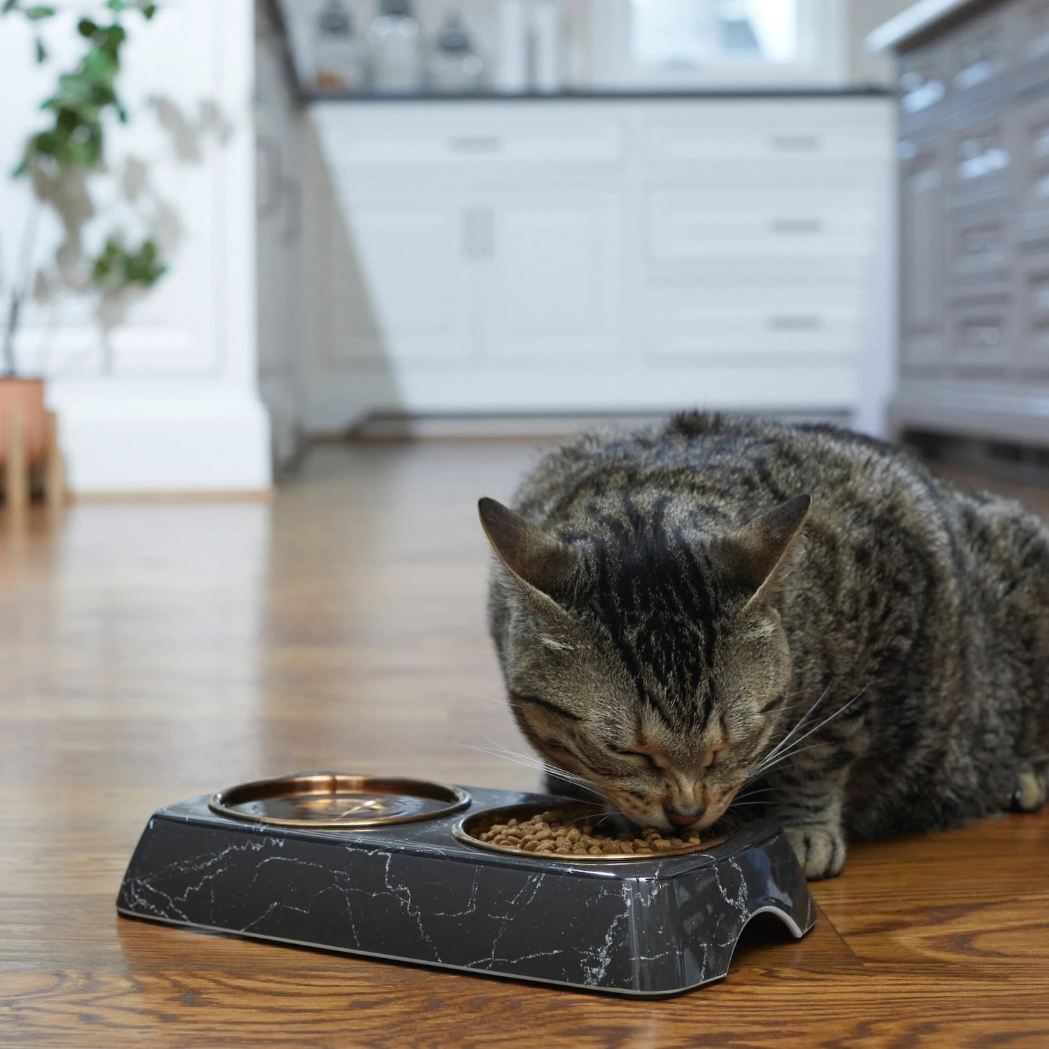 Frisco Copper Stainless Steel Double Dog & Cat Bowls With Black Marble Stand 5 Frisco Copper Stainless Steel Double Dog & Cat Bowls With Black Marble Stand - Image 3