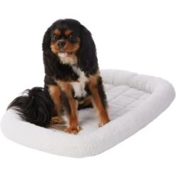 Frisco Heavy Duty Fold & Carry Single Door Collapsible Wire Dog Crate & Frisco Quilted Dog Crate Mat 11 Frisco Heavy Duty Fold & Carry Single Door Collapsible Wire Dog Crate & Frisco Quilted Dog Crate Mat -Frisco 255551 PT4. AC SS1800 V1604096523