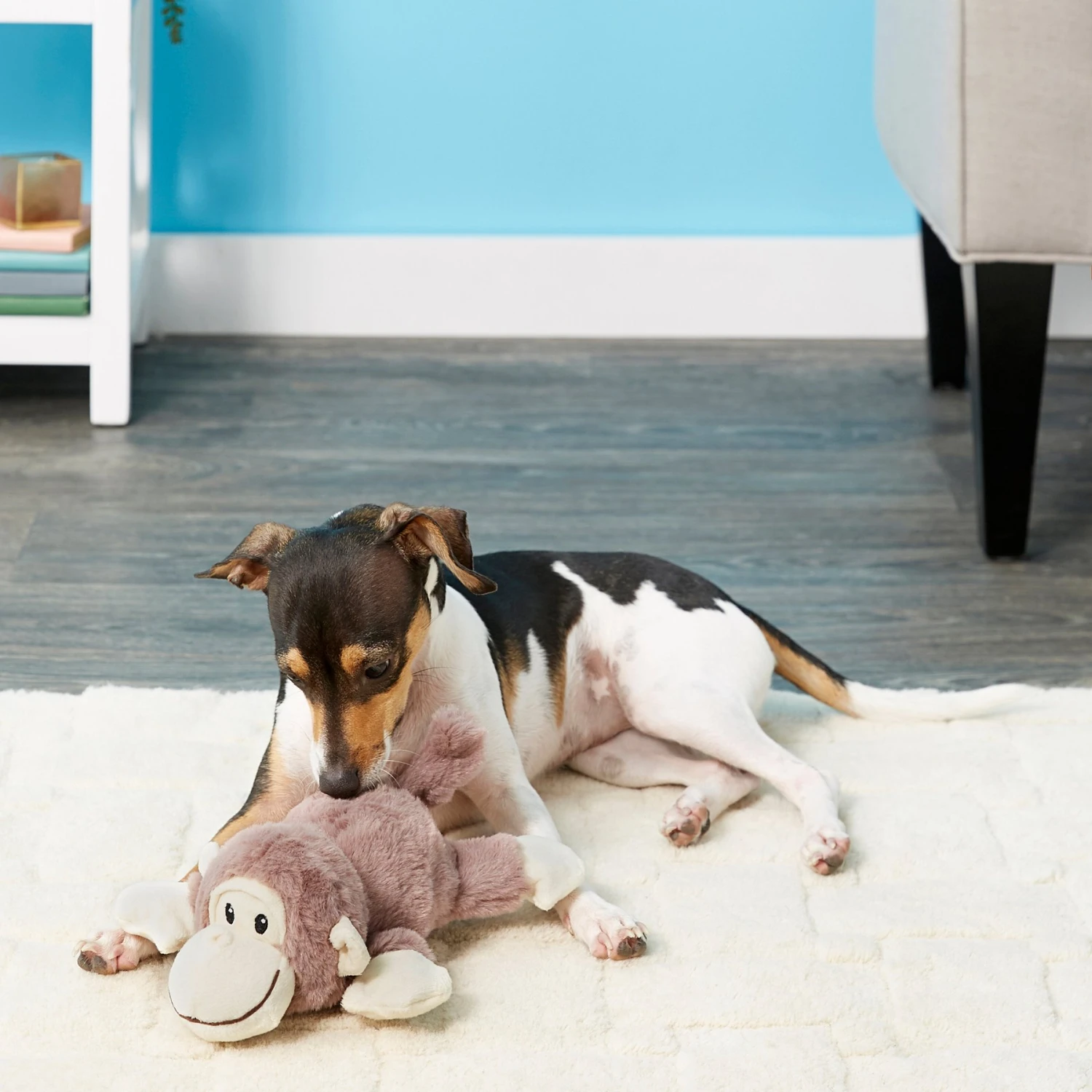 Frisco Monkey Plush Squeaky Dog Toy & Frisco Fox Plush Squeaky Dog Toy 5 Frisco Monkey Plush Squeaky Dog Toy & Frisco Fox Plush Squeaky Dog Toy - Image 3