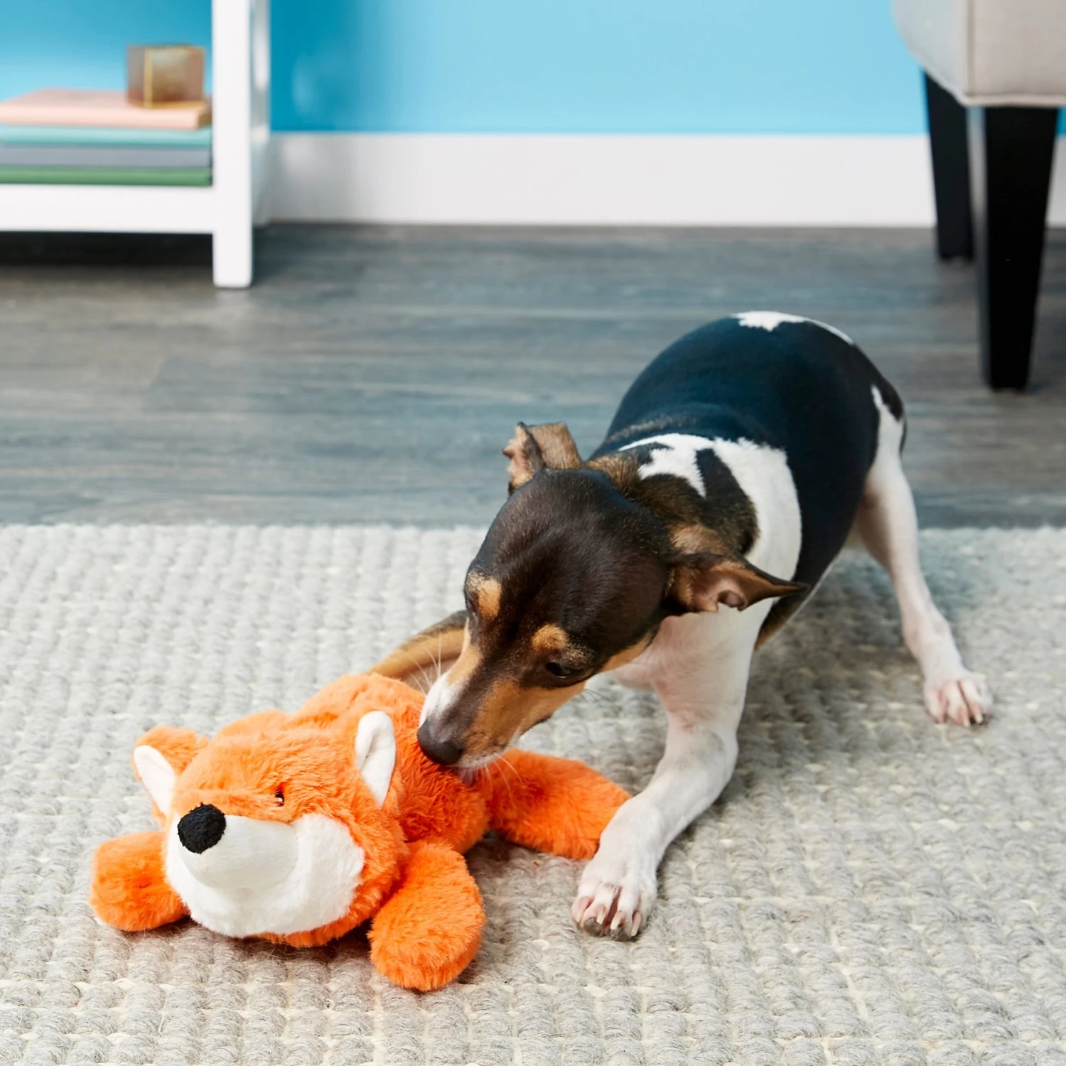 Frisco Monkey Plush Squeaky Dog Toy & Frisco Fox Plush Squeaky Dog Toy 7 Frisco Monkey Plush Squeaky Dog Toy & Frisco Fox Plush Squeaky Dog Toy - Image 5