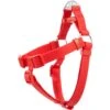 Frisco Outdoor Solid Textured Waterproof Stink Proof PVC Dog Harness -Frisco 256518 MAIN. AC SS1800 V1699629359