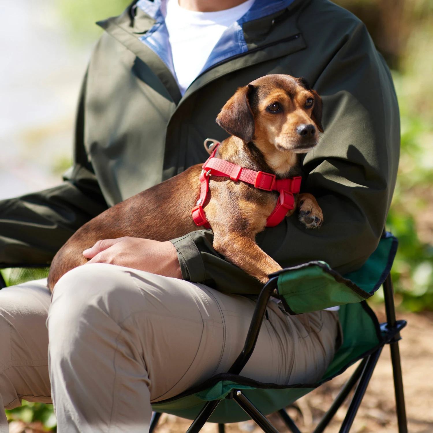 Frisco Outdoor Solid Textured Waterproof Stink Proof PVC Dog Harness 7 Frisco Outdoor Solid Textured Waterproof Stink Proof PVC Dog Harness - Image 5