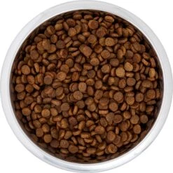 Frisco Black Iron Non-Skid Stainless Steel Dog & Cat Bowl 14 Frisco Black Iron Non-Skid Stainless Steel Dog & Cat Bowl -Frisco 257152 PT4. AC SS1800 V1615311427