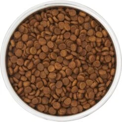 Frisco Insulated Two-Toned Non-Skid Stainless Steel Dog & Cat Bowl 13 Frisco Insulated Two-Toned Non-Skid Stainless Steel Dog & Cat Bowl -Frisco 257168 PT4. AC SS1800 V1612367255