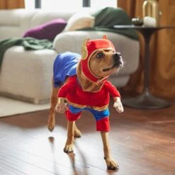 Frisco Front Walking Superhero Dog & Cat Costume -Frisco 261083 PT8. AC SS1800 V1624399471