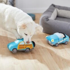 Frisco Road Trip Cruisers Plush Squeaky Dog Toy, 2 Count -Frisco 261982 PT3. AC SS1800 V1618598560