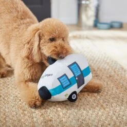 Frisco Road Trip Happy Camper Plush Squeaky Dog Toy -Frisco 261991 PT3. AC SS1800 V1618598545