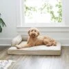Frisco Faux Linen Corner Personalized Bolster Dog Bed W/Removable Cover 2 Frisco Faux Linen Corner Personalized Bolster Dog Bed W/Removable Cover -Frisco 262158 MAIN. AC SS1800 V1615828368