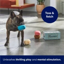 Frisco Macaron Interactive Plush Squeaky Dog Toy 12 Frisco Macaron Interactive Plush Squeaky Dog Toy -Frisco 264438 PT5. AC SS1800 V1686579089