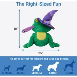 Frisco Magic Wizard Frog Plush Squeaky Dog Toy -Frisco 265588 PT1. AC SS1800 V1623352151