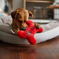 Frisco Halloween Wicked Cute Bone Reversible Plush Squeaky Dog Toy -Frisco 270357 PT3. AC SS1800 V1624817551