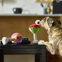 Frisco Halloween Cocktail Plush Squeaky Dog Toy -Frisco 270361 PT3. AC SS1800 V1624817495