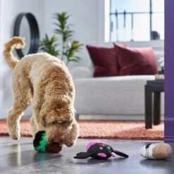 Frisco Halloween Cupcakes Plush Squeaky Dog Toy -Frisco 270367 PT3. AC SS1800 V1624817674