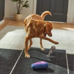 Frisco Halloween Mummy & Coffin Plush Squeaky Dog Toy -Frisco 270437 PT3. AC SS1800 V1624817278