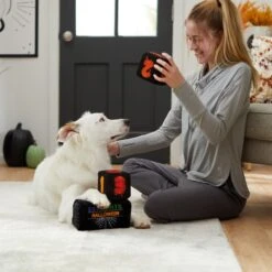Frisco Halloween 30 Days Of Halloween Countdown Blocks Plush Squeaky Dog Toy -Frisco 270494 PT3. AC SS1800 V1624817483