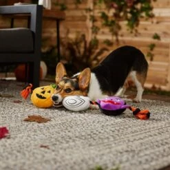 Frisco Halloween Haunted Friends Plush With Rope Squeaky Dog Toy 9 Frisco Halloween Haunted Friends Plush With Rope Squeaky Dog Toy -Frisco 270500 PT3. AC SS1800 V1624825043