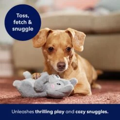 Frisco Camping Squirrel Plush Squeaky Dog Toy 12 Frisco Camping Squirrel Plush Squeaky Dog Toy -Frisco 271001 PT5. AC SS1800 V1691785245