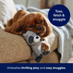 Frisco Camping Raccoon Plush Squeaky Dog Toy -Frisco 271003 PT4. AC SS1800 V1695670777
