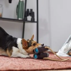 Frisco Camping Binoculars Plush With Rope Squeaky Dog Toy 7 Frisco Camping Binoculars Plush With Rope Squeaky Dog Toy -Frisco 271009 PT3. AC SS1800 V1625009167