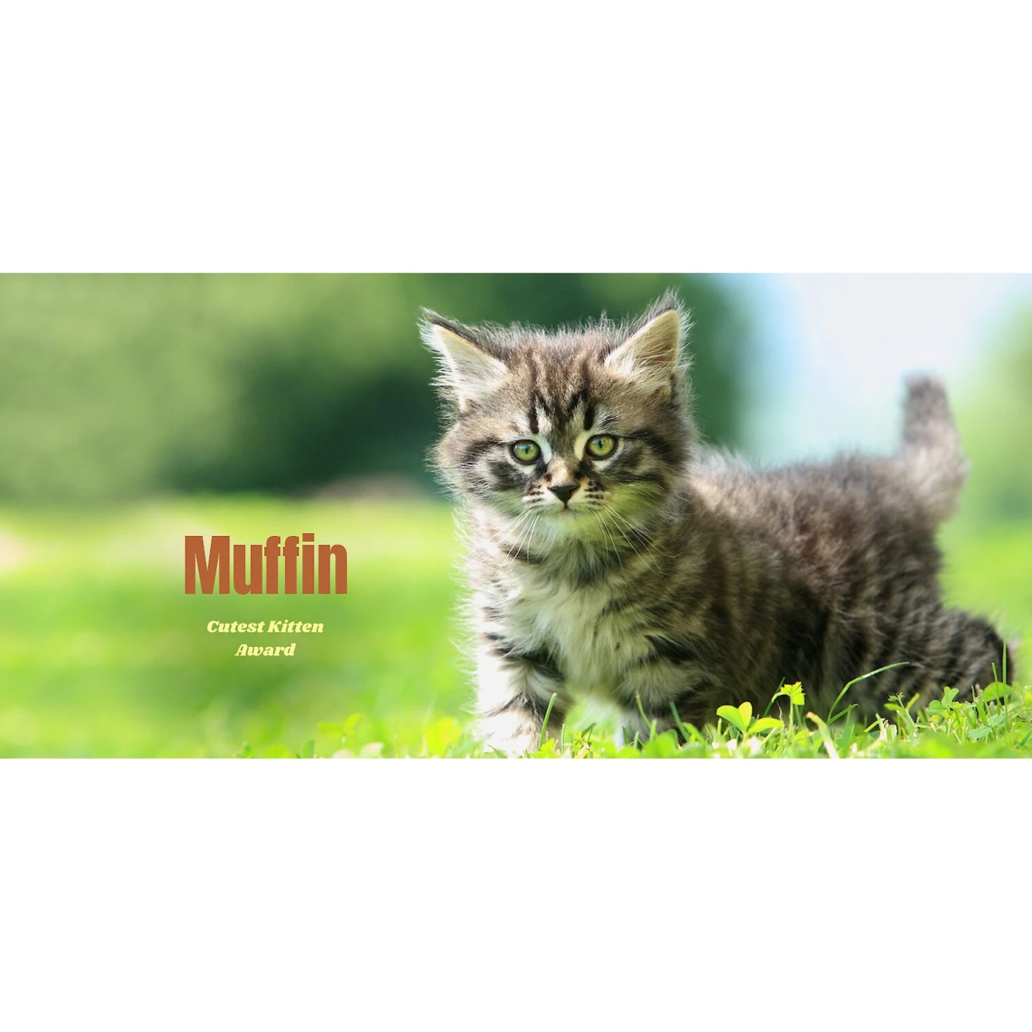 Frisco Basic Insulated Stainless Steel Personalized Mug, 10-oz 5 Frisco Basic Insulated Stainless Steel Personalized Mug, 10-oz - Image 3