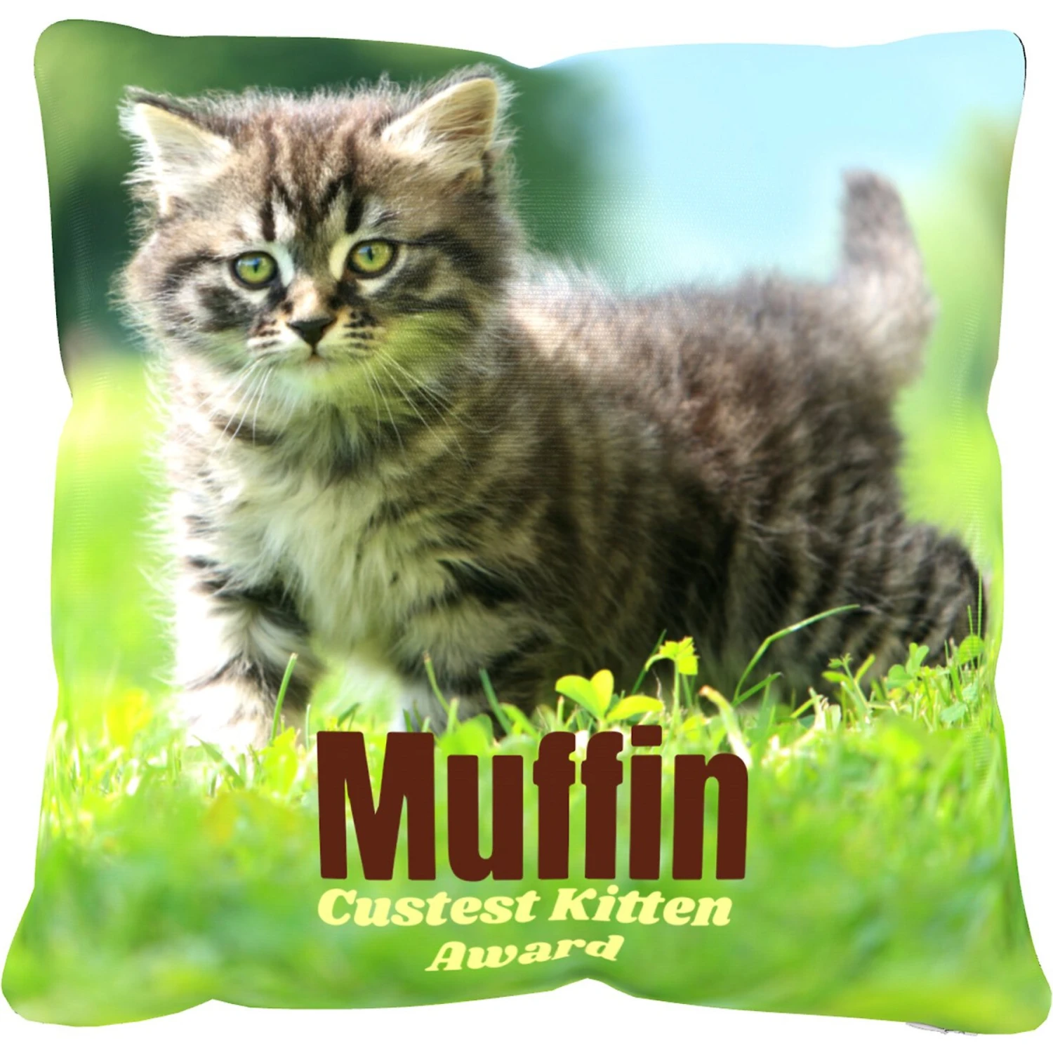 Frisco Personalized Basic Throw Pillow, 16" X 16" 5 Frisco Personalized Basic Throw Pillow, 16" X 16" - Image 3