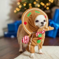 Frisco Front Walking Gingerbread Dog & Cat Costume -Frisco 276156 PT8. AC SS1800 V1631568795