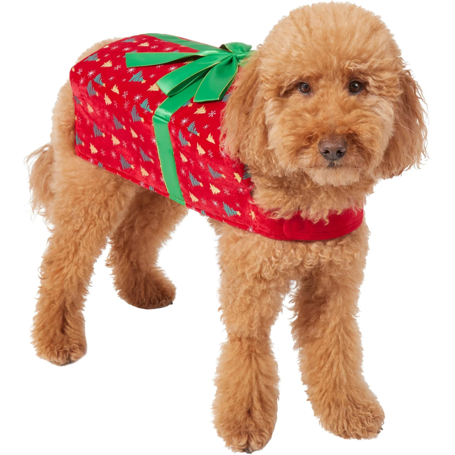 Frisco Holiday Giftbox Dog & Cat Costume 3 Frisco Holiday Giftbox Dog & Cat Costume